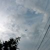 ayla_3023