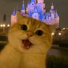 heeleeji_