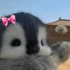 beautifulgirls__0