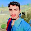 shams.jamali823