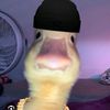 milodinosuar7