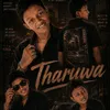 ruviarachchi830