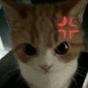 aimi_miy