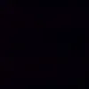 adam_7004