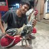 dimas.munez