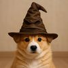 Magictori