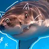 _bwww6