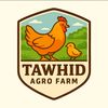 tawhid.hossen43