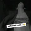 bereket.zemedkun