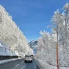 alessia_p777