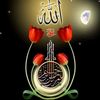jahangir.alam3136