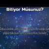 ifal.bitkiler.ve