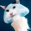 love_jellyfish_