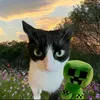 hopgi4