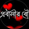 monir.monir8278