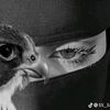 user9300161111345