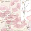 cyrilla_120524