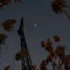 gigabrainer