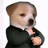 xbach69