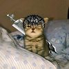 knight_killerr