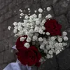 _sxlxn.20_