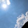 bluewhite_1583