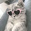 sweetly_dy