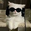TrendTiktok🎧