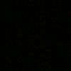 raaniyah.shanum