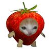 mpii_yvsyk_