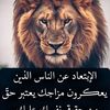 user8257466694011