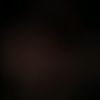 nur.nur0019