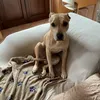 patti_600