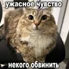 teddy_zillion