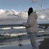 fateme.alibeygi8