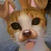 suk4r7