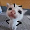 vanviet0714