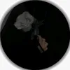 shad_12340