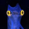 Flippers Peepers
