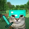 Minecraft Clips