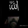 nejatdawud6