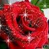.hamza.kara