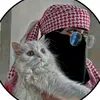 user8711377703035