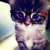 itsur_jedd1