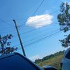 damia_305