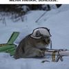 winter.katze