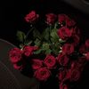 dil._ll