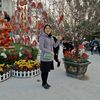 luhongcc6705