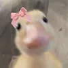 🦆