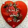 user8180435601152